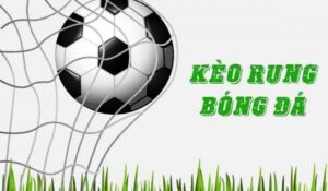 Kèo rung là gì/ Hướng dẫn chơi kèo rung chuẩn xác